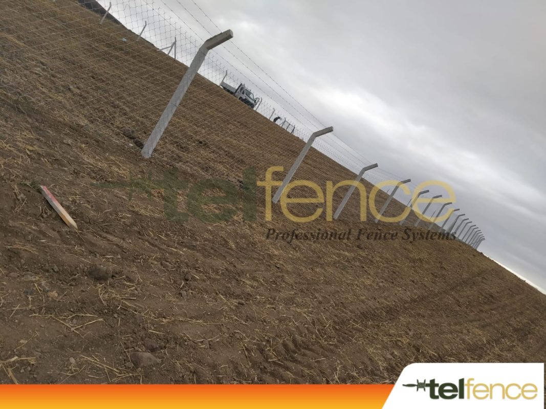 120 cm Örgü Bahçe Çit Teli